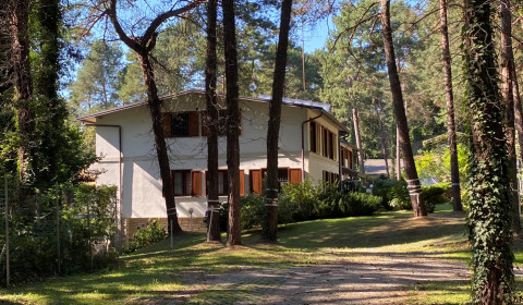 San Martino e La Pineta